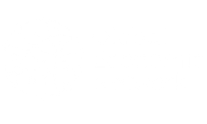 World Economic Network